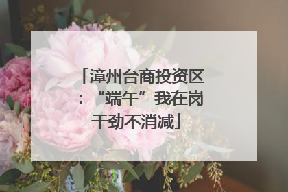 漳州台商投资区：“端午”我在岗 干劲不消减