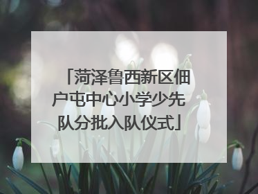 菏泽鲁西新区佃户屯中心小学少先队分批入队仪式