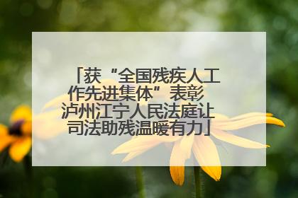 获“全国残疾人工作先进集体”表彰 泸州江宁人民法庭让司法助残温暖有力