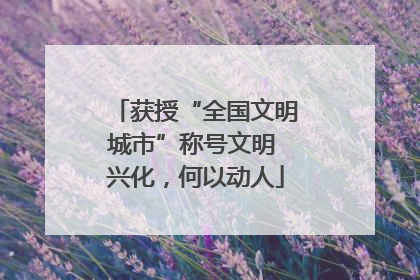 获授“全国文明城市”称号文明 兴化，何以动人