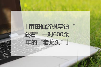 莆田仙游枫亭镇“藏着”一对600余年的“老龙头”
