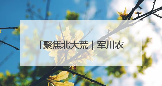 聚焦北大荒｜军川农场有限公司大豆播种完成55.37%