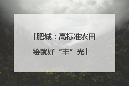 肥城：高标准农田绘就好“丰”光