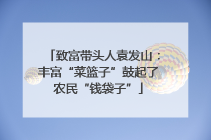 致富带头人袁发山：丰富“菜篮子”鼓起了农民“钱袋子”