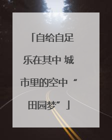 自给自足 乐在其中 城市里的空中“田园梦”