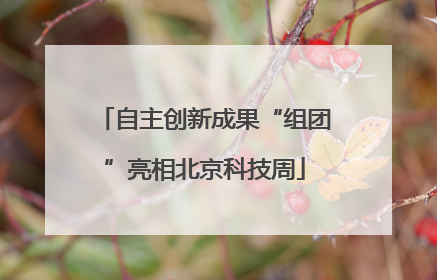 自主创新成果“组团”亮相北京科技周