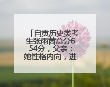 自贡历史类考生张雨茜总分654分，父亲：她性格内向，进高中后融入班级变得活泼开朗