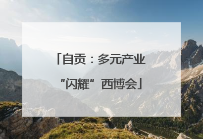 自贡：多元产业“闪耀”西博会