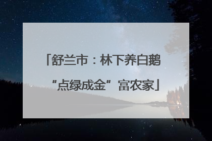 舒兰市：林下养白鹅 “点绿成金”富农家