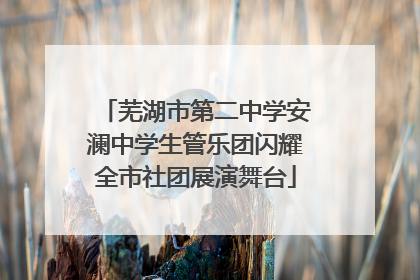 芜湖市第二中学安澜中学生管乐团闪耀全市社团展演舞台