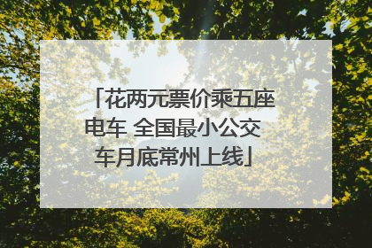 花两元票价乘五座电车 全国最小公交车月底常州上线