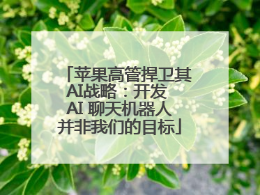 苹果高管捍卫其AI战略：开发 AI 聊天机器人并非我们的目标