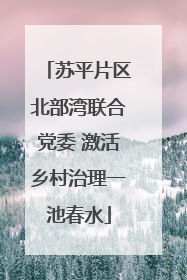 苏平片区北部湾联合党委 激活乡村治理一池春水