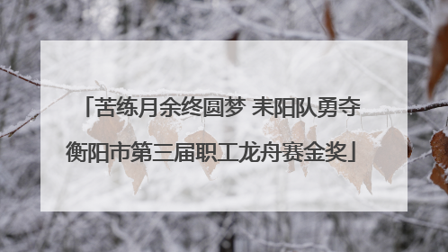苦练月余终圆梦 耒阳队勇夺衡阳市第三届职工龙舟赛金奖
