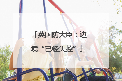 英国防大臣：边境“已经失控”