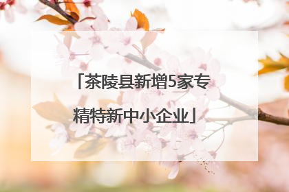 茶陵县新增5家专精特新中小企业