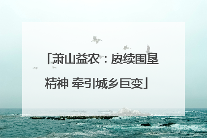 萧山益农：赓续围垦精神 牵引城乡巨变