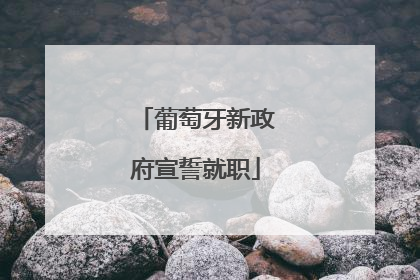 葡萄牙新政府宣誓就职