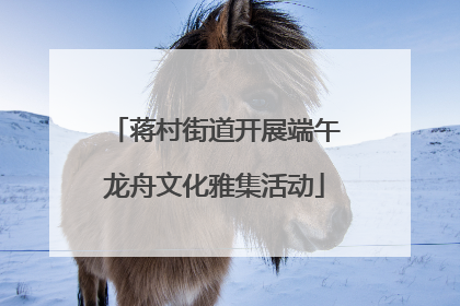 蒋村街道开展端午龙舟文化雅集活动