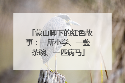 蒙山脚下的红色故事：一所小学、一盏茶碗、一匹病马