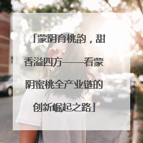 蒙阴育桃韵，甜香溢四方——看蒙阴蜜桃全产业链的创新崛起之路