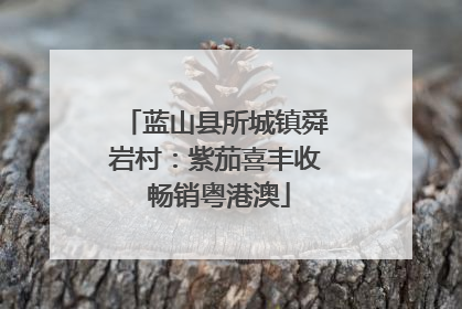 蓝山县所城镇舜岩村：紫茄喜丰收 畅销粤港澳