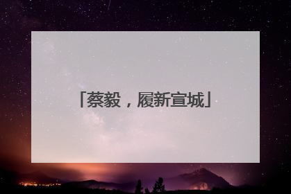 蔡毅，履新宣城