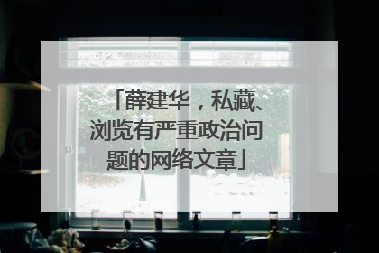 薛建华，私藏、浏览有严重政治问题的网络文章