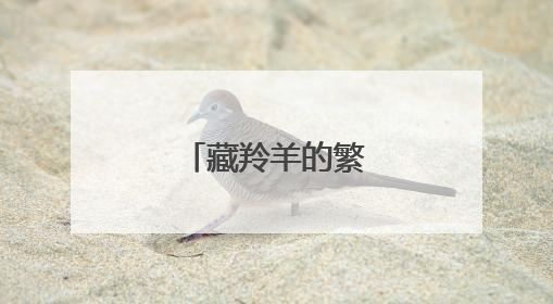 藏羚羊的繁殖迁徙之路