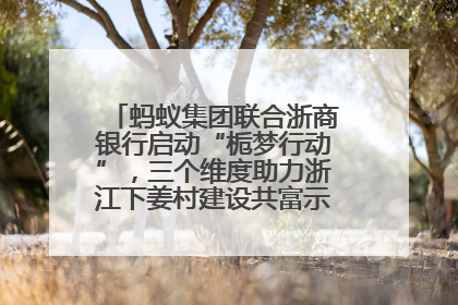 蚂蚁集团联合浙商银行启动“栀梦行动”，三个维度助力浙江下姜村建设共富示范区示范点