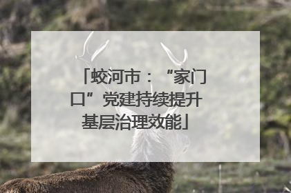 蛟河市：“家门口”党建持续提升基层治理效能