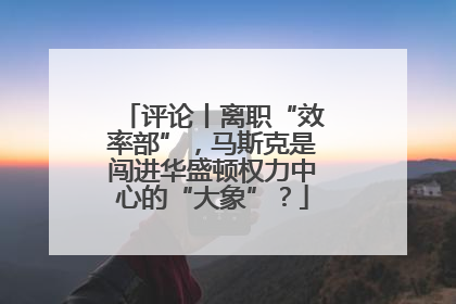 评论丨离职“效率部”，马斯克是闯进华盛顿权力中心的“大象”？