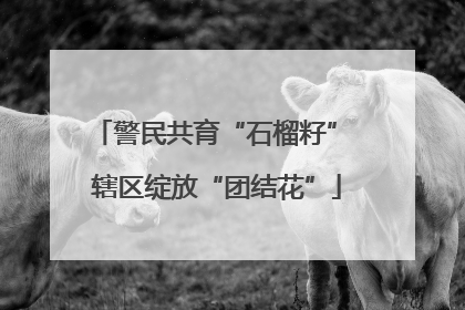 警民共育“石榴籽” 辖区绽放“团结花”