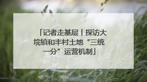 记者走基层丨探访大垸镇和丰村土地“三统一分”运营机制