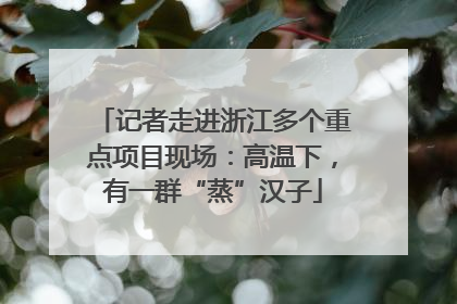 记者走进浙江多个重点项目现场：高温下，有一群“蒸”汉子