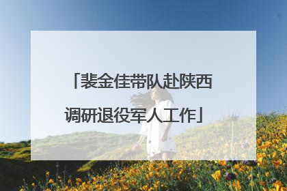 裴金佳带队赴陕西调研退役军人工作