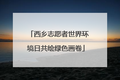 西乡志愿者世界环境日共绘绿色画卷