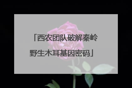 西农团队破解秦岭野生木耳基因密码