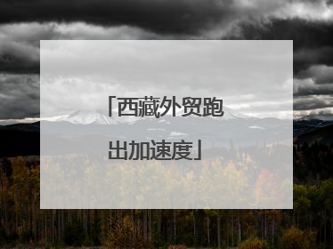 西藏外贸跑出加速度