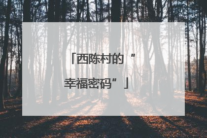 西陈村的“幸福密码”