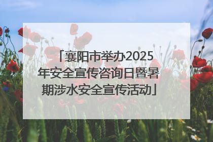 襄阳市举办2025年安全宣传咨询日暨暑期涉水安全宣传活动
