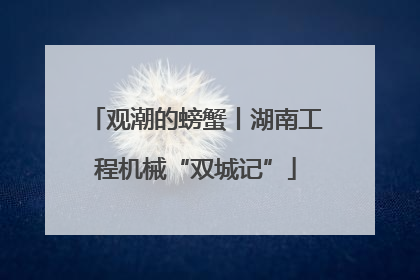 观潮的螃蟹丨湖南工程机械“双城记”
