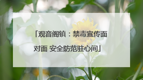 观音阁镇：禁毒宣传面对面 安全防范驻心间