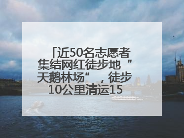 近50名志愿者集结网红徒步地“天鹅林场”，徒步10公里清运150余斤山野垃圾