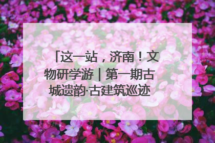 这一站，济南！文物研学游｜第一期古城遗韵·古建筑巡迹之旅圆满结束