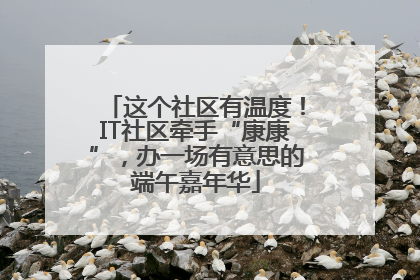 这个社区有温度！IT社区牵手“康康”，办一场有意思的端午嘉年华