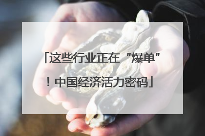 这些行业正在“爆单”！中国经济活力密码