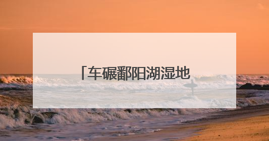 车碾鄱阳湖湿地案引入劳动代偿：生态法治在创新尝试｜有一说一