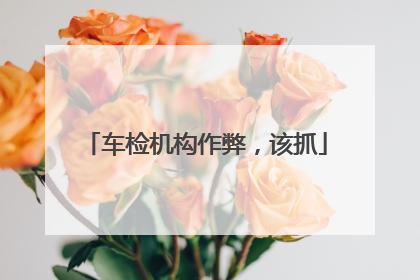 车检机构作弊，该抓