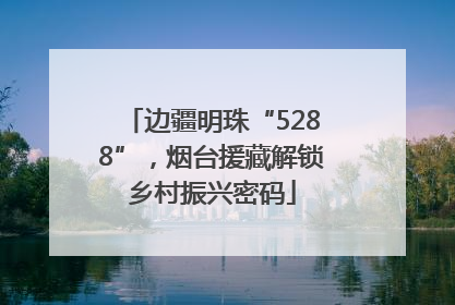 边疆明珠“5288”，烟台援藏解锁乡村振兴密码